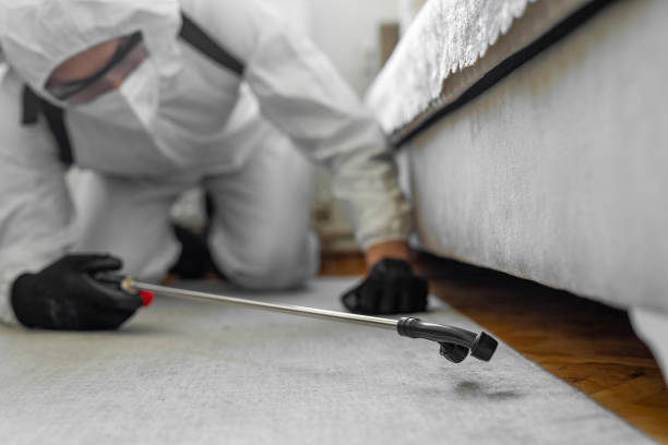 Professional Cockroach Control technician working in Richfield, WI